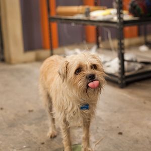 Bilder Spy Kids 4D - Alle Zeit der Welt