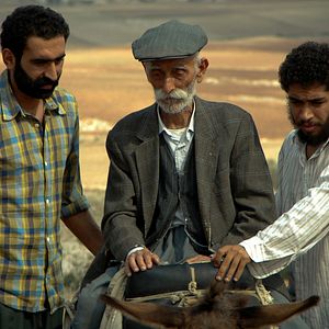 Bilder Öfkeli Çılgınlık Karamsar Çile