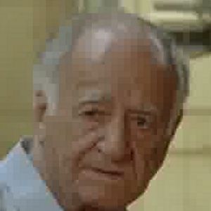 Bilder Ali-Asghar Shahbazi