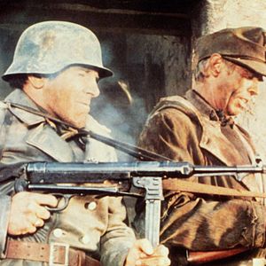 Bilder Steiner - Das Eiserne Kreuz