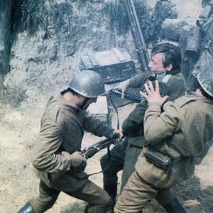 Bilder Steiner - Das Eiserne Kreuz