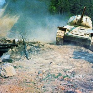 Bilder Steiner - Das Eiserne Kreuz