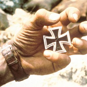 Bilder Steiner - Das Eiserne Kreuz