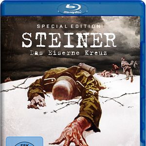 Bilder Steiner - Das Eiserne Kreuz