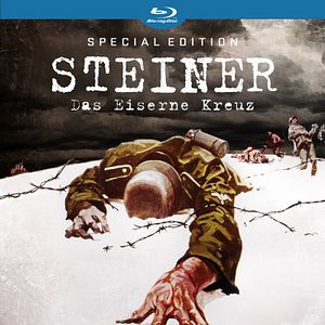 Bilder Steiner - Das Eiserne Kreuz