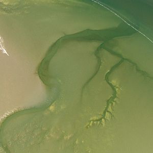 Bilder Die Nordsee von oben