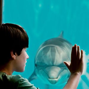 Bilder Nathan Gamble