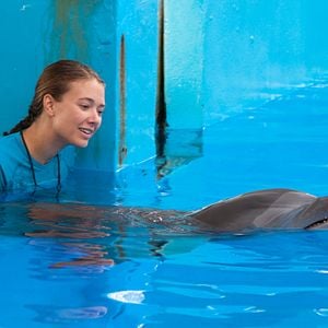 Bilder Mein Freund, der Delfin