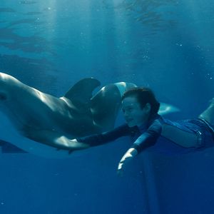 Bilder Mein Freund, der Delfin