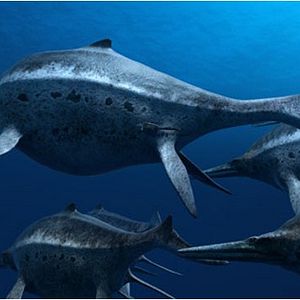 Bilder Sea Rex 3D: Reise in die Zeit der Dinosaurier