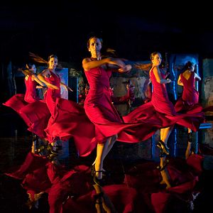 Bilder Flamenco, Flamenco