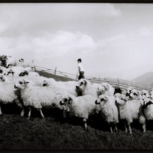 Bilder Dem Himmel ganz nah