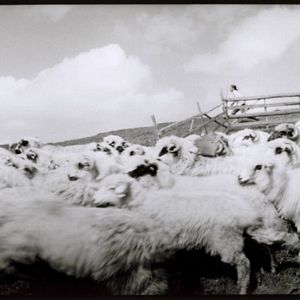 Bilder Dem Himmel ganz nah