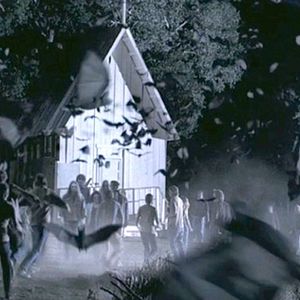 Bilder Krieger des Lichts