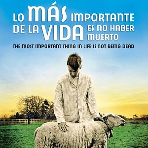 Bilder The Most Important Thing in Life Is Not Being Dead