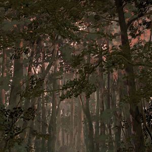 Bilder Le Jour des Corneilles