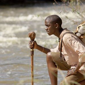 Bilder Der weisse Löwe