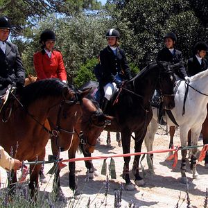 Bilder Commissario Montalbano