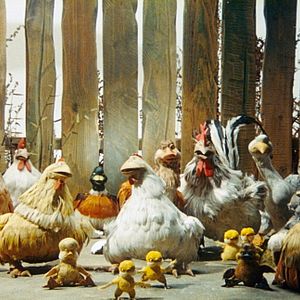 Bilder Gadkii Utenok