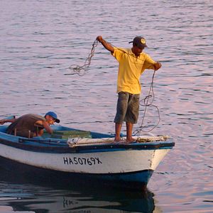 Bilder El Sofa de la Habana