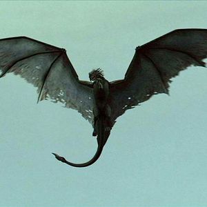 Bilder Dragon Dynasty