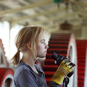 Bilder Fliegende Fische müssen ins Meer