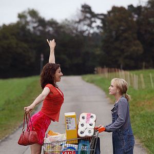 Bilder Fliegende Fische müssen ins Meer