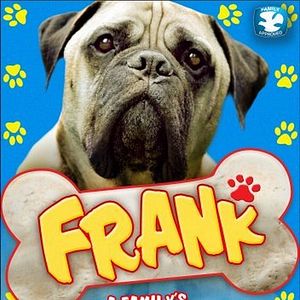 Bilder Chaos auf 4 Pfoten - Sommer mit Hund