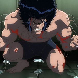 Bilder Hulk Vs. - Thor & Wolverine