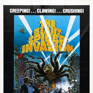 Bilder Angriff der Riesenspinne