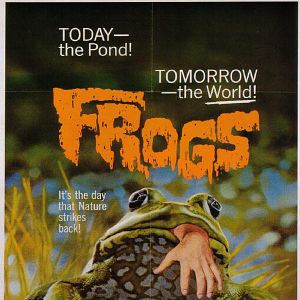 Bilder Frogs - Frösche