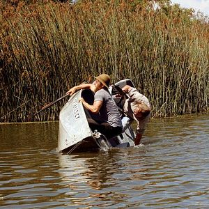 Bilder Mega Python vs. Gatoroid