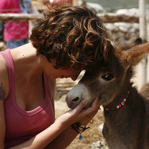 Bilder Entelköy gegen Efeköy