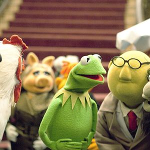 Bilder Die Muppets