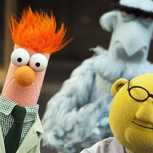 Bilder Die Muppets