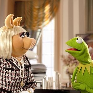 Bilder Die Muppets