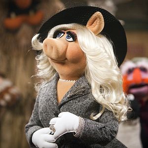 Bilder Die Muppets