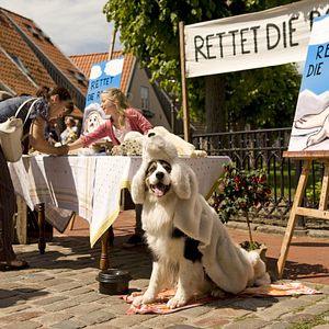 Bilder Neele-Marie Nickel