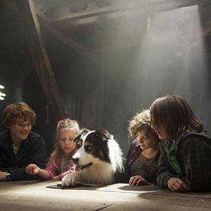 Bilder Valeria Eisenbart