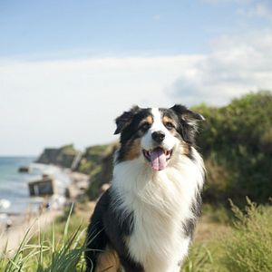 Bilder Fünf Freunde