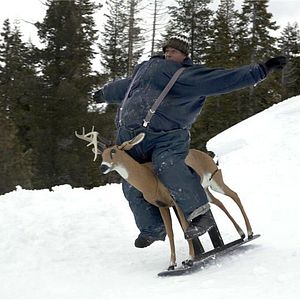 Bilder Jackass 3.5 - The Uncut Movie