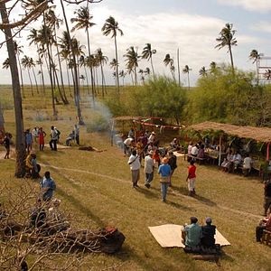 Bilder The Last flight of the flamingo