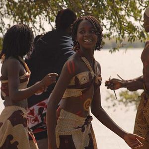 Bilder The Last flight of the flamingo