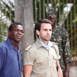 Bilder The Last flight of the flamingo