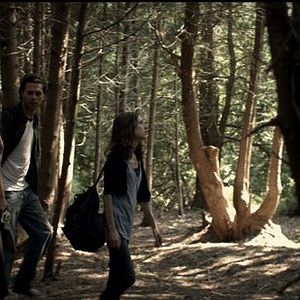 Bilder The Collapsed