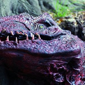 Bilder Die Reise zum Mittelpunkt der Erde 2