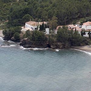 Bilder El Bulli: Cooking in Progress