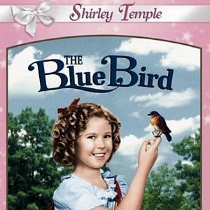 Bilder The Blue Bird