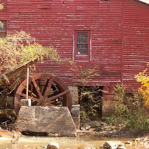 Bilder Das wundersame Leben von Timothy Green