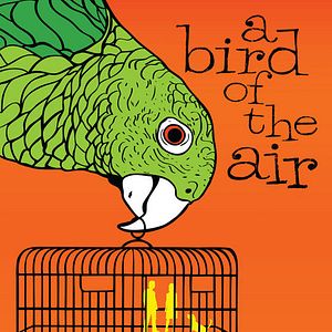 Bilder A Bird of the Air